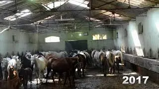محطة الزهراء . ما بين 2017 و 2020