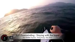 SUP Downwinding - Following the bump / gliding