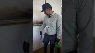 The Secret Path Bugs Use to Invade Your Home
