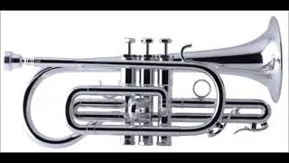 Nessun Dorma / Puccini arr. Snell