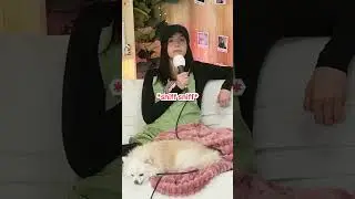 Poki&rsquo;s & Lily&rsquo;s past jobs & aura farming🙂&zwj;↕️🤝