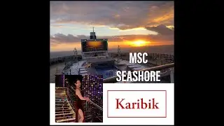 MSC Seashore Kreuzfahrt Miami - Jamaica  Ocho Rios - Mexico Cozumel  - Bahamas Ocean Cay Januar 2022