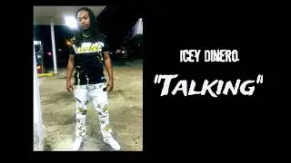 Icey Dinero - 'Talking'      [Official Audio]