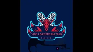 VIDE GAMING 2.8K's broadcast