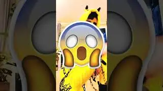 🤫PIKACHU&rsquo;s Secret🤫