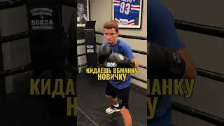 POV: кидаешь обманку новичку