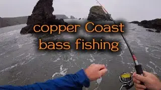 Bass fishing on the copper Coast 
