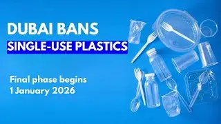 Запрет на одноразовый пластик в Дубае с 2026 года | Почему это важно 🌍♻️