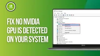 How to Fix No Nvidia GPU is Detected on your System