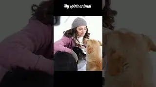 my spirit animal trend📈#trending #trend #reels#viral#instagram #collegelifememes #memes #viraltrend