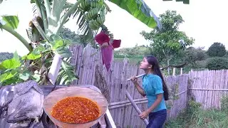 Favorite food, Chicken steamed with Banana flower, Beans Seed Dessert