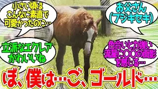 おとうさんみたいにりっぱなきょうそうばになりたいです…に対するみんなの反応！【競馬 の反応集】