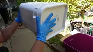 Outdoor grow 2017 (tips and tricks trim)