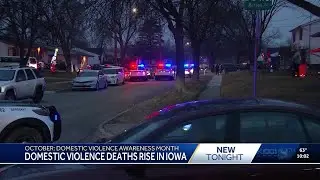 Iowa sees increase in domestic violence deaths