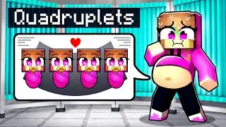 PREGNANT With QUADRUPLETS In Minecraft!