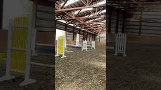 Baby grey horse doing his thing #horseriding #shortsvideo #equestrian #younghorse #horse