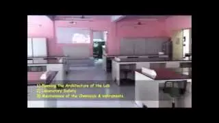 Lab organization