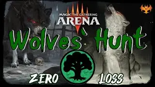 You Are Being Hunted | MTG Arena - Mono Green Wolf Tribal SIX WINS Innistrad Crimson Vow