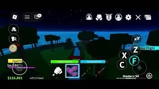 ROBLOX  BLOCK  FRUIT