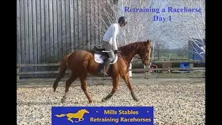 Danecase - Retraining a Racehorse - First day of Retraining
