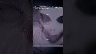 ERST CONTACT. ES PASSIERT JEDEN TAG // PANTARay.TV