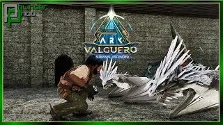 A Triple Wyvern Entanglement on Valguero...