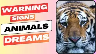 10 common Animal dream interpretations and meanings