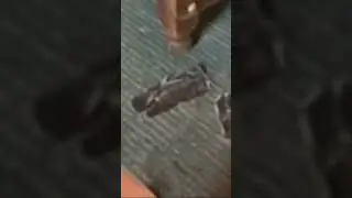 Drum solo 2