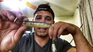 My Top lures for Shallow Grassy Rivers | Top Summer Dupage River Lures |