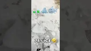Ice Shark EVOLUTION 🤩 #shorts