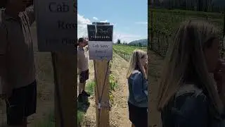 How do you make wine? NCW Tech Alliance Industry Tour Rocky Pond Estate Winery 2023