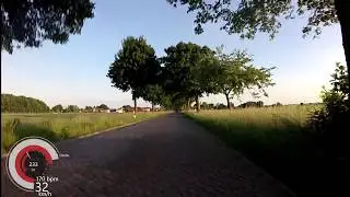 Adlum pav&eacute;