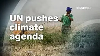 Has the UN made progress on Climate Change?