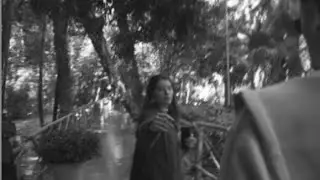 Todo está aquí - Julieta Venegas (Cover)