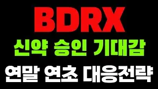 [BDRX 바이오덱사 파머슈티컬스] 나스닥 스팩 합병!! 지금부터 &ldquo;실적&rdquo; 이 중요합니다. 트레이딩 전략 공개!! #BDRX #BDRX주식 #BDRX주가 #BDRX전망