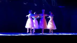 Prathibha Prahlad - 10th Delhi International Arts Festival - Russian Classical Ballet