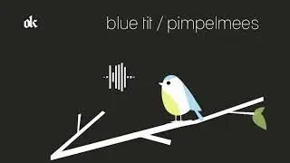 blue tit / pimpelmees sound