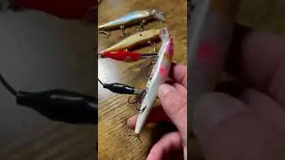 iBobber Snapper robotic lure