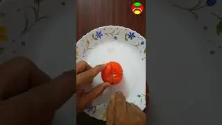 Kaki Flower | Persimmon Japanese fruit