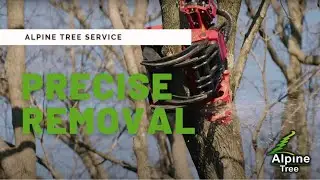 Точное удаление с помощью крана Palfinger | Alpine Tree Service &mdash; Морристаун, Нью-Джерси