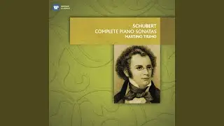 Piano Sonata in G Major, Op. 78, D. 894: I. Molto moderato e cantabile