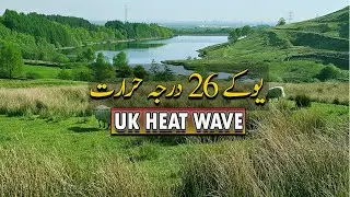 UK Experiencing Heat Wave | People Head to Tourist Spots for Relief #ukheatwave