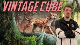 Ocelot Pride Vintage Cube