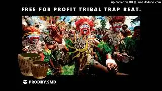 [FREE USE!] PAPAU - TRIBAL HARD TRAP BEAT (PRODBY.SMD)
