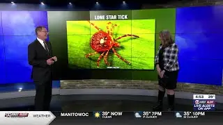 Analyzing a fatal tick bite