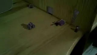 madness combat in real life 2