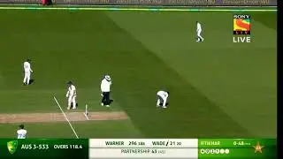 David Warner 300 vs Pakistan