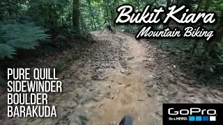 Must-Ride Trail Combo! Pure Quill + Sidewinder Jumps @ Bukit Kiara MTB
