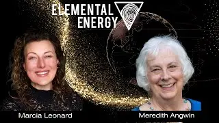 Shorting the Grid with Meredith Angwin || How to Support Electrification