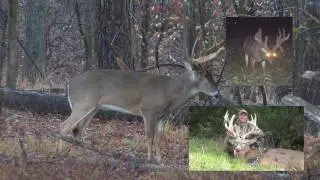 Score Your Whitetail Buck From Trail Cam Photos